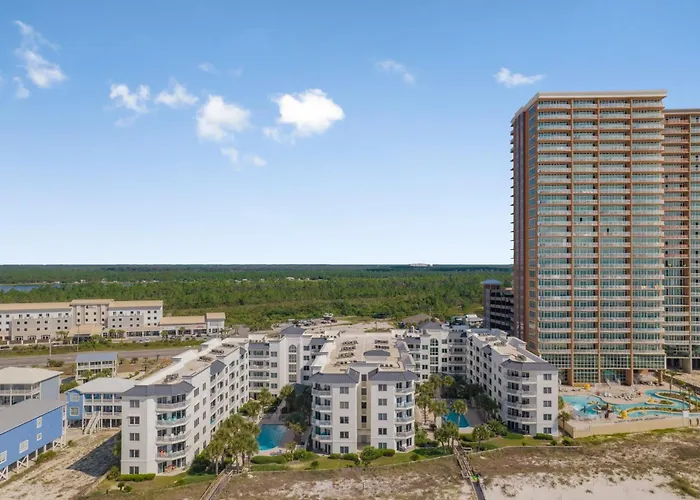 Palm C23 By Collection Gulf Shores