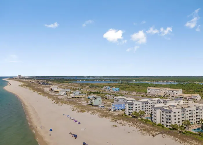 Palm C23 By Collection * Gulf Shores