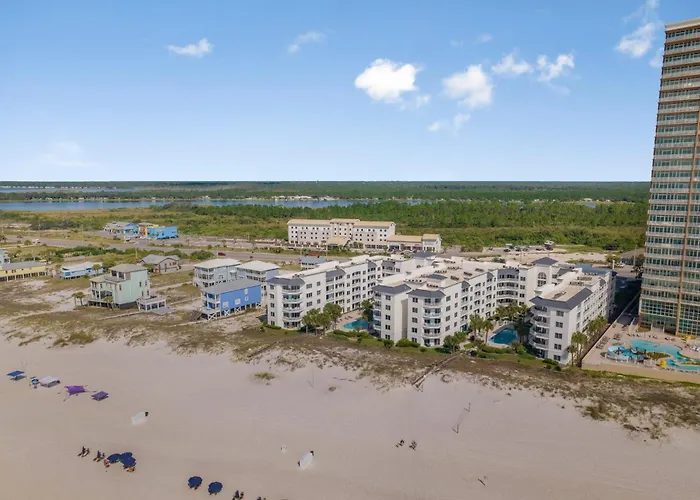 Palm C23 By Collection Gulf Shores
