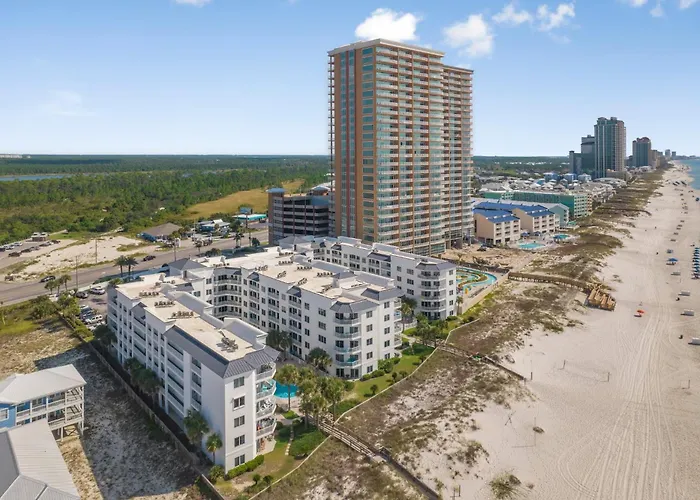 Apartment Palm C23 By Collection *