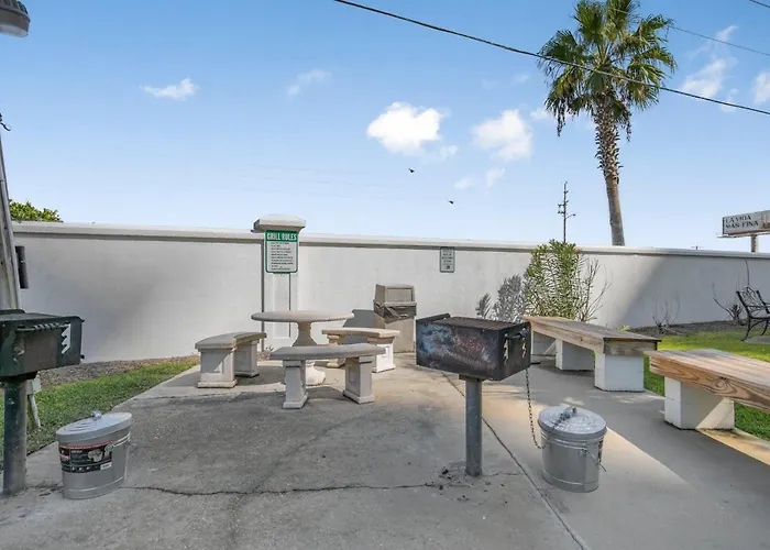 Palm C23 By Collection Gulf Shores