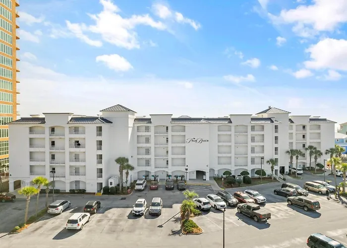 Palm C23 By Collection Gulf Shores