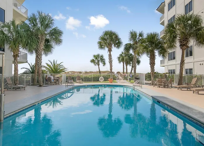 Palm C23 By Collection * Gulf Shores