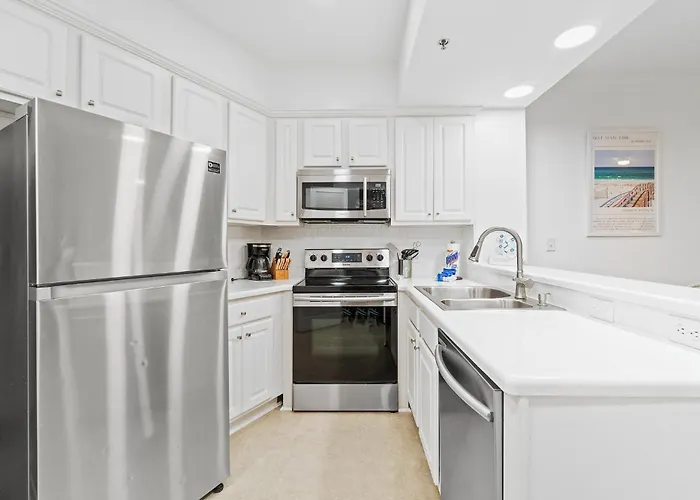Apartment Palm C23 By Collection