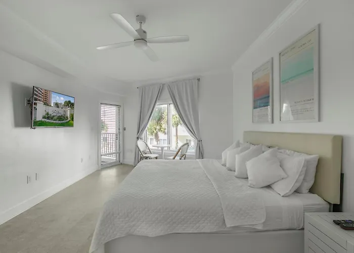 Palm C23 By Collection